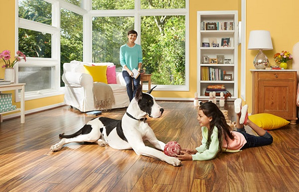 Sàn gỗ công nghiệp phù hợp cho gia đình nuôi thú cưng