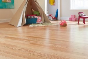 Sàn gỗ cứng: Đánh giá ưu điểm và nhược điểm