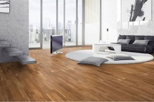 Sàn gỗ Đức sự lựa chọn tuyệt vời cho ngôi nhà của bạn